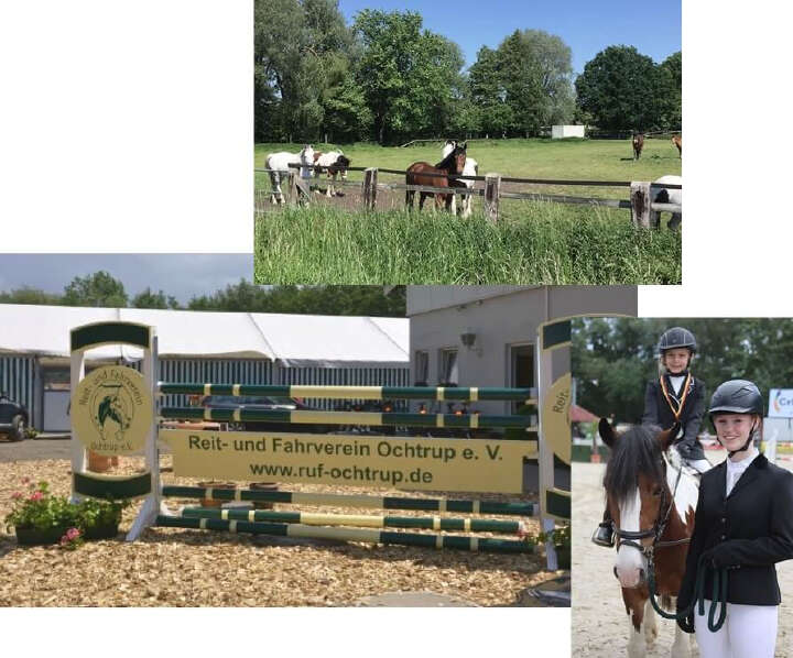 reitundfahr verein ochtrup derby community collage reitundfahr verein ochtrup derby community collage